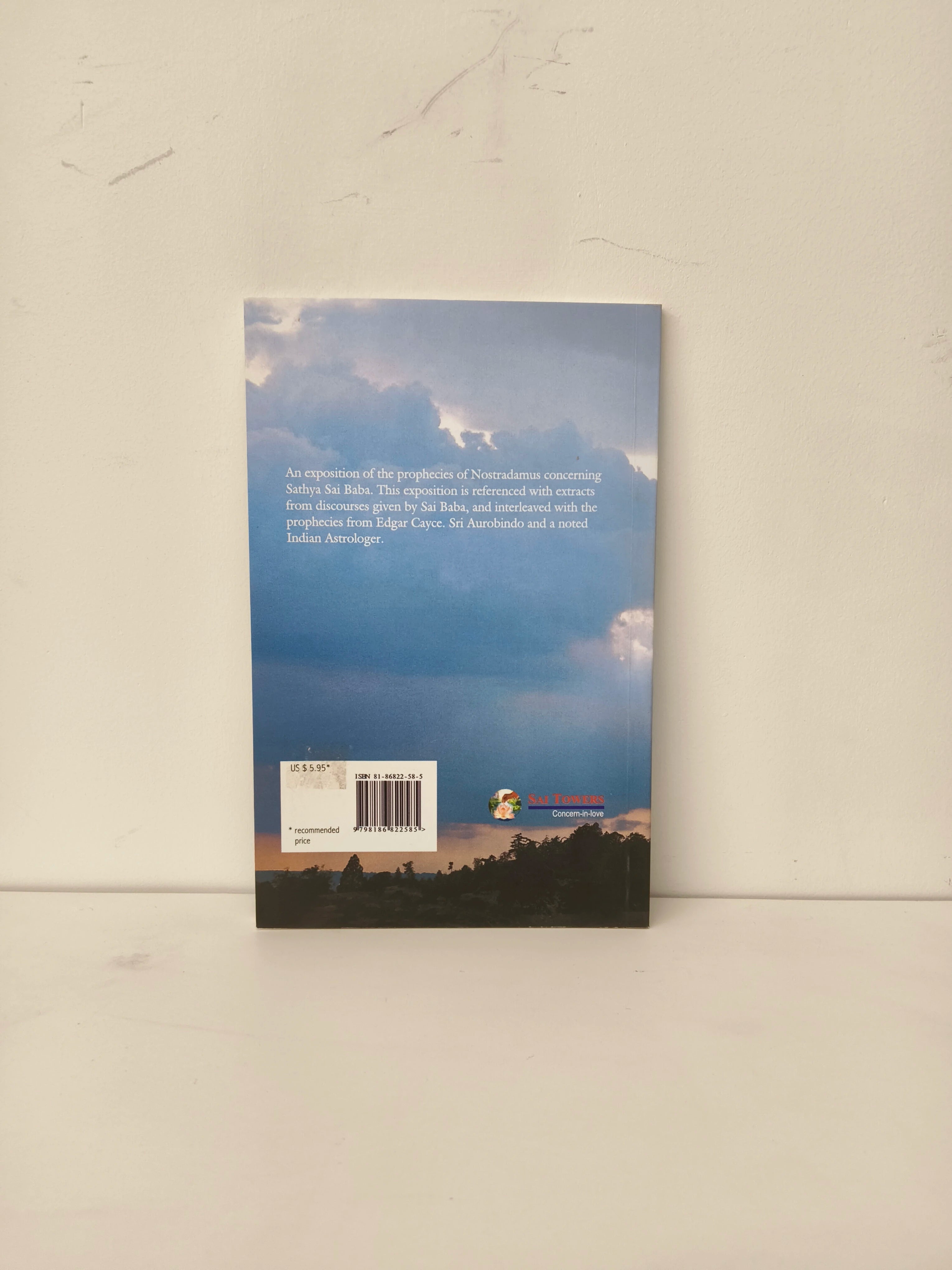 Back cover of God Descends On Earth paperback book with sky and landscape image