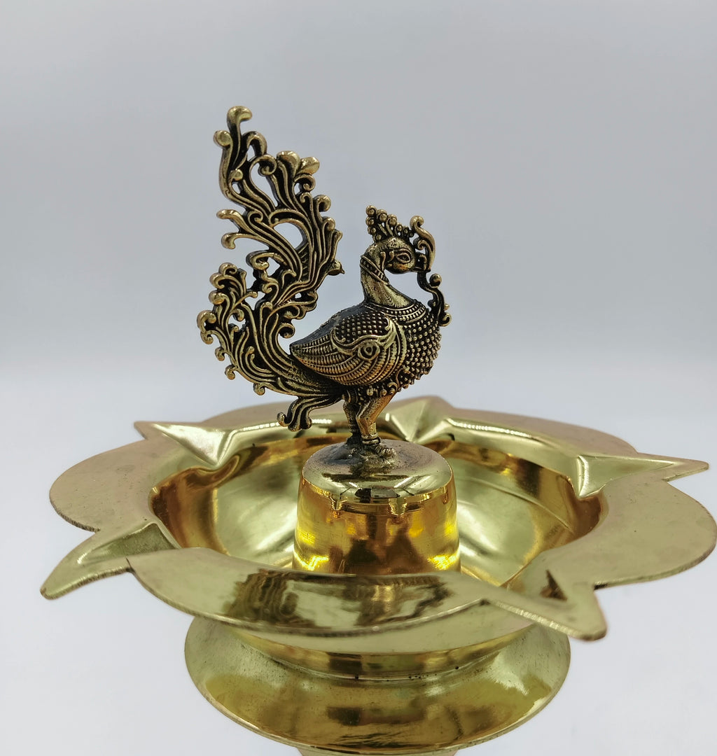 Brass peacock diya oil lamp with ornate tail, round base, side view